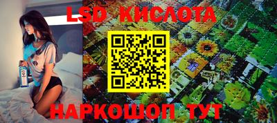 винт Берёзовский