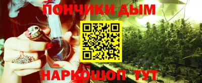 крисы Будённовск