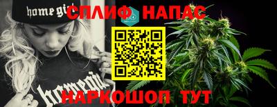 крисы Будённовск