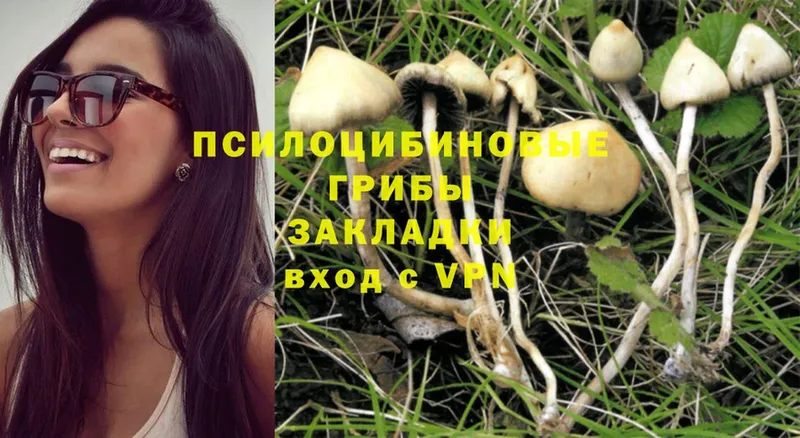 Галлюциногенные грибы Magic Shrooms  где продают наркотики  Североуральск 