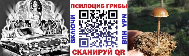 Галлюциногенные грибы Magic Shrooms цены наркотик Североуральск