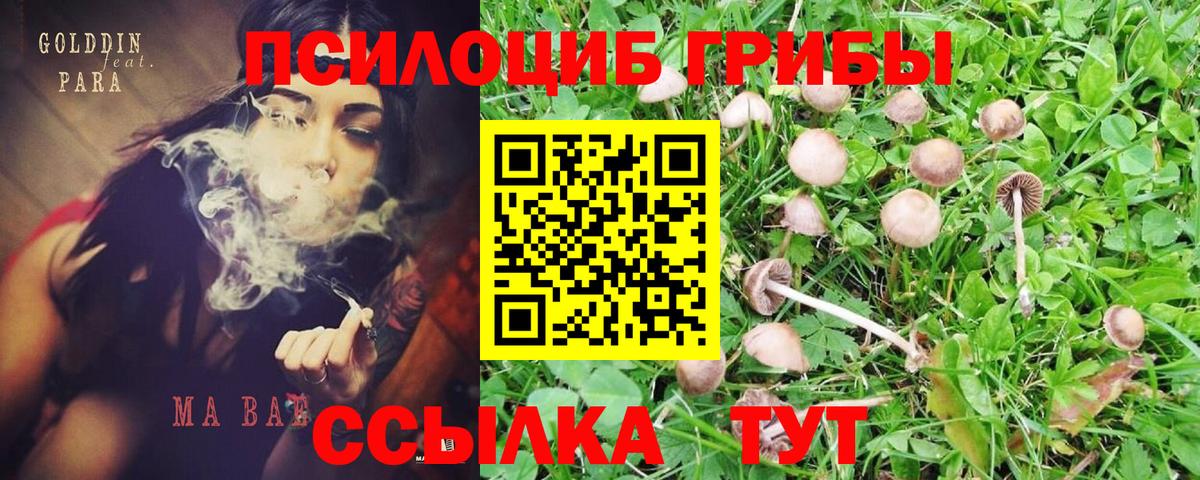Галлюциногенные грибы MAGIC MUSHROOMS  Вход с VPN  где купить наркоту  Североуральск  Галлюциногенные грибы Magic Shrooms 